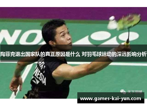 陶菲克退出国家队的真正原因是什么 对羽毛球运动的深远影响分析