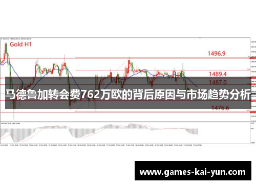 马德鲁加转会费762万欧的背后原因与市场趋势分析 马德鲁加转会费762万欧的背后原因与市场趋势分析